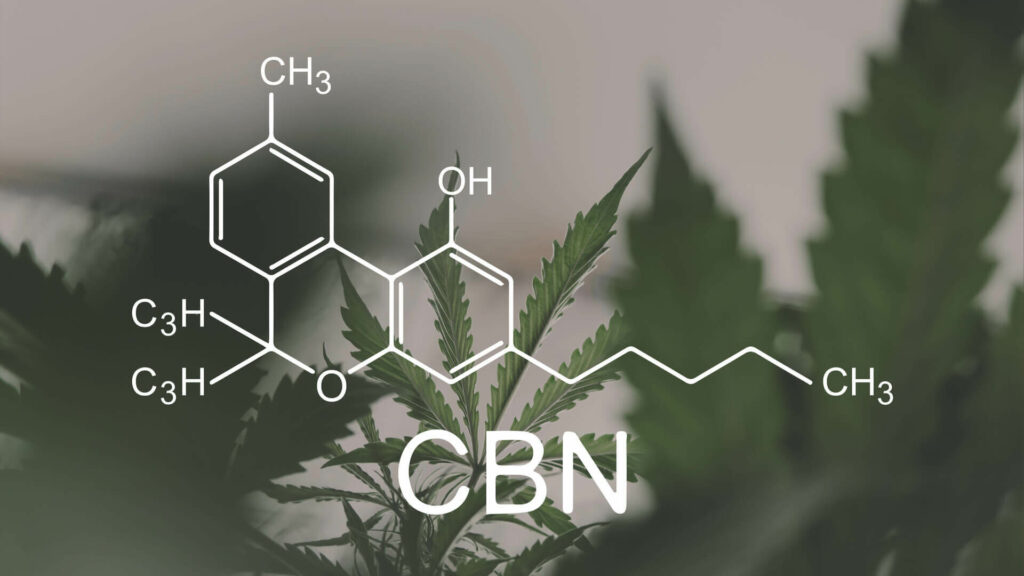 List Of Important Cannabinoids And What They Do